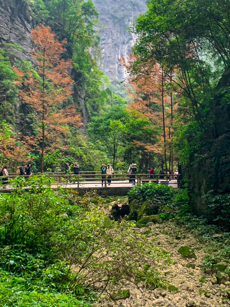 WOW China Adventure! ฉงชิ่ง-เฉิงตู อู่หลง สี่ดรุณี  | 05 - 10 ธ.ค 68 | 6D 5N