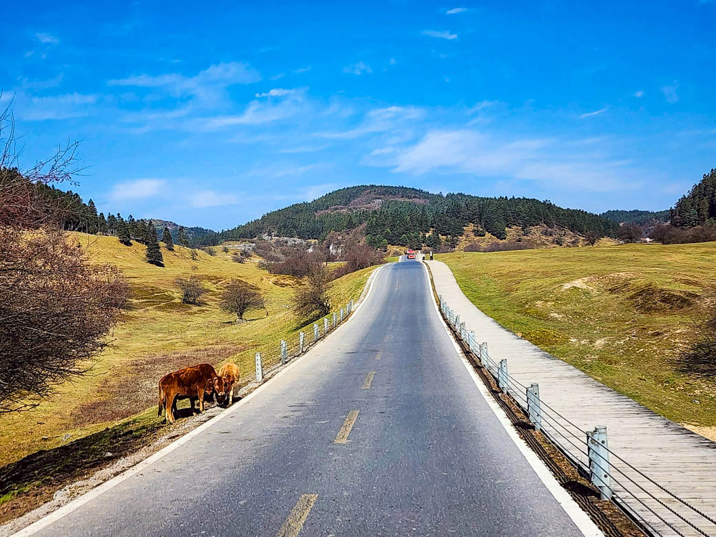 WOW China Adventure! ฉงชิ่ง-เฉิงตู อู่หลง สี่ดรุณี 28 พ.ย 68 - 03 ธ.ค 68