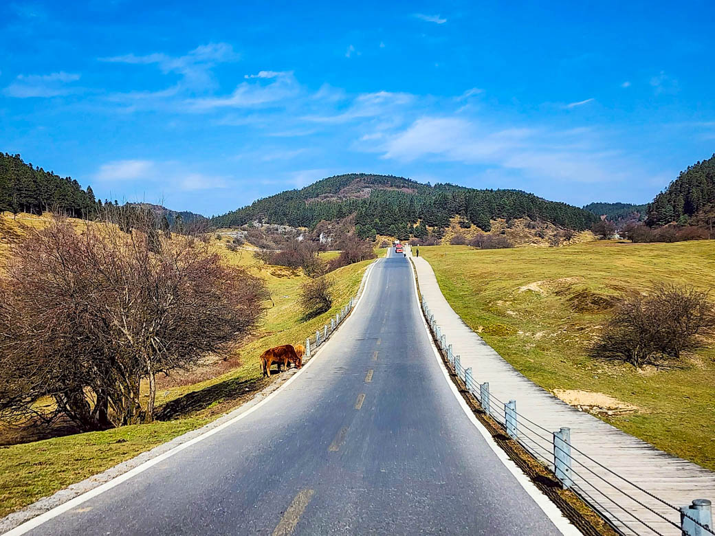 WOW China Adventure! ฉงชิ่ง-เฉิงตู อู่หลง สี่ดรุณี 28 พ.ย 68 - 03 ธ.ค 68