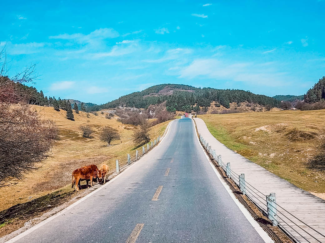 WOW China Adventure! ฉงชิ่ง-เฉิงตู อู่หลง สี่ดรุณี 28 พ.ย 68 - 03 ธ.ค 68