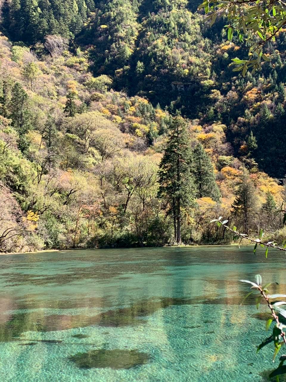 CHENGDU สี่ดรุณี ปี้เผิงโกว ซวงเฉียวโกว ต๋ากู่ปิงชวน 5วัน 4คืน 
วันที่ : 20 ต.ค. - 24 ต.ค. 68