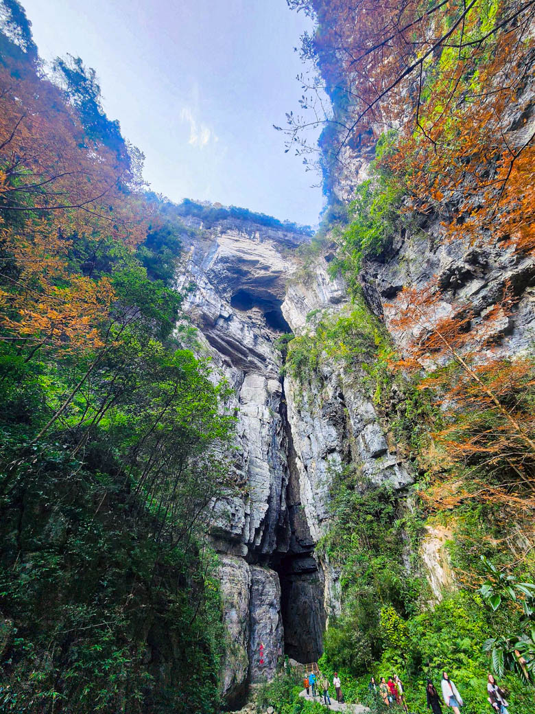 WOW China Adventure! ฉงชิ่ง-เฉิงตู อู่หลง สี่ดรุณี 28 พ.ย 68 - 03 ธ.ค 68