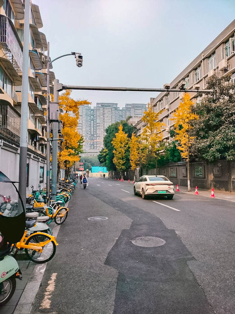 เฉิงตู สี่ดรุณี ปี้เผิงโกว | 25 พ.ย 68 - 30 พ.ย 68 | 6 วัน 4 คืน