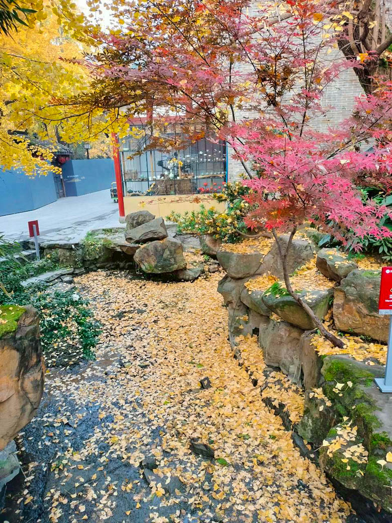 เฉิงตู สี่ดรุณี ปี้เผิงโกว | 25 พ.ย 68 - 30 พ.ย 68 | 6 วัน 4 คืน