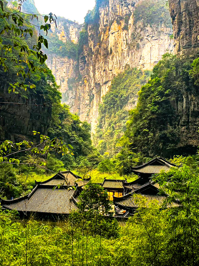 WOW China Adventure! ฉงชิ่ง-เฉิงตู อู่หลง สี่ดรุณี  | 05 - 10 ธ.ค 68 | 6D 5N