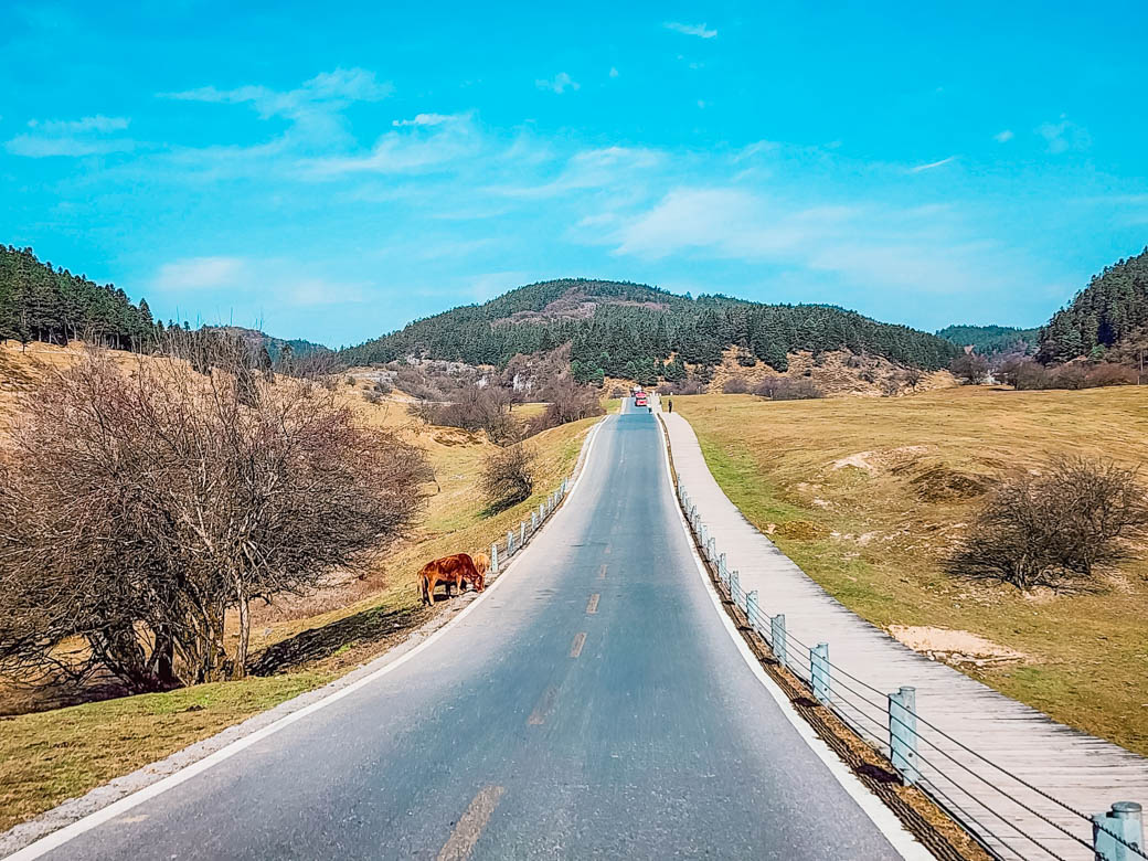 WOW China Adventure! ฉงชิ่ง-เฉิงตู อู่หลง สี่ดรุณี 28 พ.ย 68 - 03 ธ.ค 68